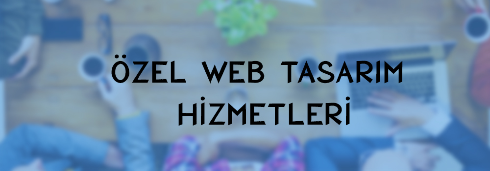 özel web tasarım